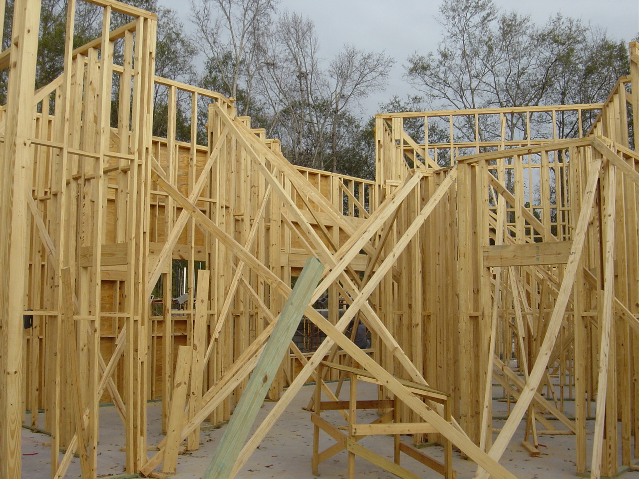 Statesboro Animal Hospital Frame Construction Interior